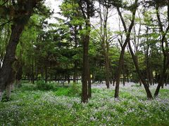 -沈阳市东陵公园