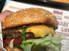 -The Habit Burger Grill 哈比特汉堡(复兴soho店)
