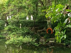 -杭州植物园
