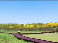 -西青郊野公园
