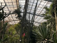 -呀路古热带植物园