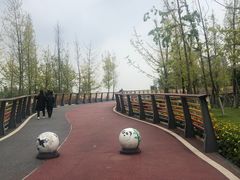 -府河摄影公园