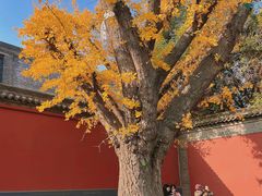 -西安市广仁寺