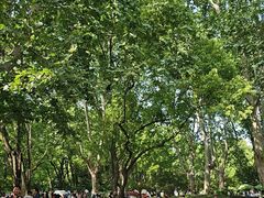 -共青国家森林公园-售票处