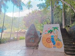 -西双版纳原始森林公园