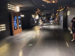 -金逸影城(宝安大仟里IMAX激光店)
