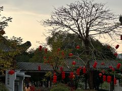 -飞来湖湿地公园