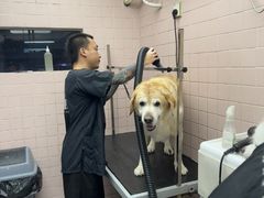 -FAELING PETS美天灵宠物(富力广场店)