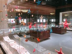 -青岛贝壳博物馆
