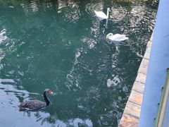 -长白岛森林公园