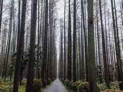 -上海怡沁园度假酒店