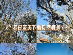 -碑林公园