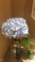 -苑苑vbeauty科技美容SPA