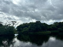 -济州森林小火车生态公园