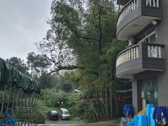 -金水泊山庄·花椒鸡(铁山坪店)