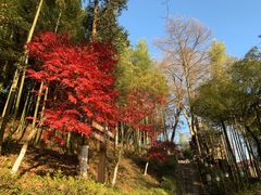 -莫干山风景区