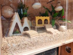 -酷嗒动物文化乐园(cutezoo西溪乐天城店)