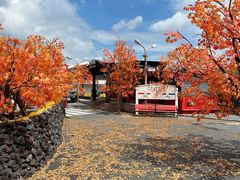 -Blue Concept Cafe&Farm·關於藍