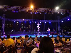 -渔家火锅·海鲜自助餐·演艺(亚龙湾天域酒店)