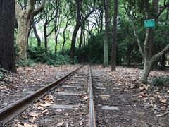-共青国家森林公园-南大门停车场