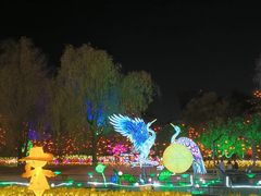 -国际非物质文化遗产博览园