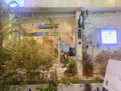 -春树下·树屋花房西餐厅(罍街AS1980店)