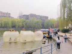 -莲湖公园