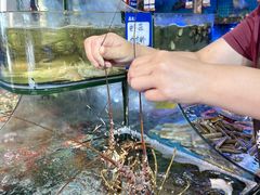 -友强·23年特色海鲜大排档(厦门店)