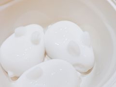 -三亚亚龙湾人间天堂鸟巢度假村