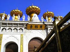 -上海东林寺(金山区)