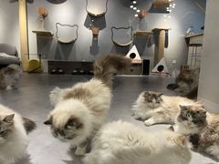 -至艾推拿院·三伏灸(昆城广场店)
