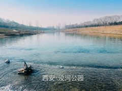 -洨河生态公园