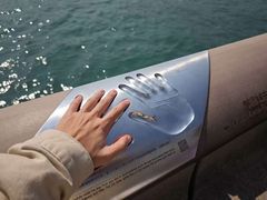 -星光大道