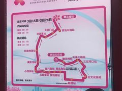 -桃花堤公园