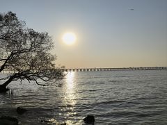 -宝安西湾红树林湿地公园