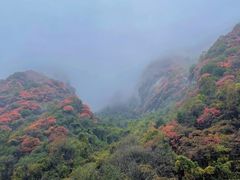 -秦岭终南山世界地质公园翠华山景区