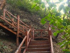 -大岭沟猕猴桃谷风景区