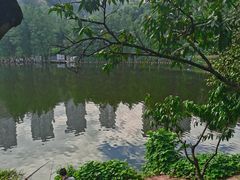 -重庆彩云湖湿地公园