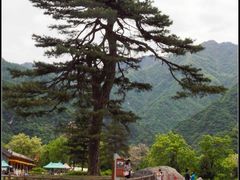 -终南山国家森林公园