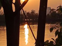 -艾溪湖湿地公园
