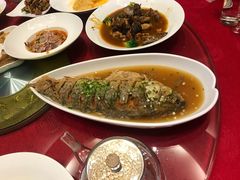 -鲁班张中原家宴(马庄街店)