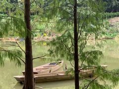 -深圳仙湖植物园