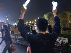 -荷兰花海