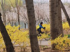 -东郊湿地公园
