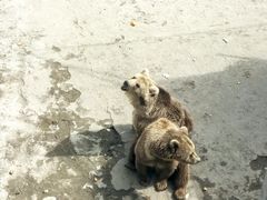 -哈尔滨北方森林动物园