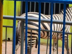 -荆州中山公园动物园