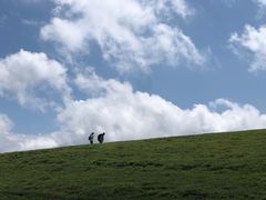 -克什克腾世界地质公园青山景区