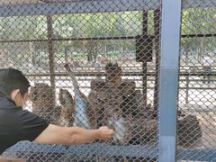 -长白岛森林公园