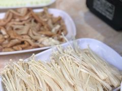 -顺德哥卜卜贝(旗舰店)