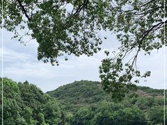 -白马涧龙池景区